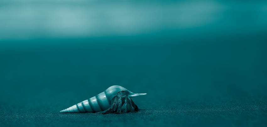 Markt en Macht (januari 2026)